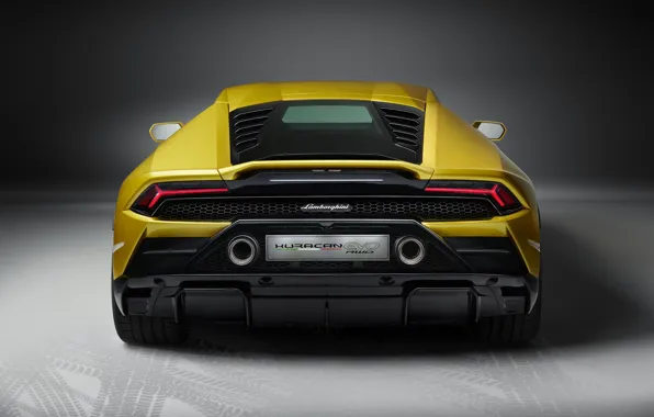 Lamborghini, rear view, Huracan, 2020, RWD, Huracan Evo