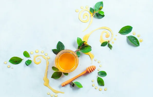 Picture leaves, pattern, food, honey, still life