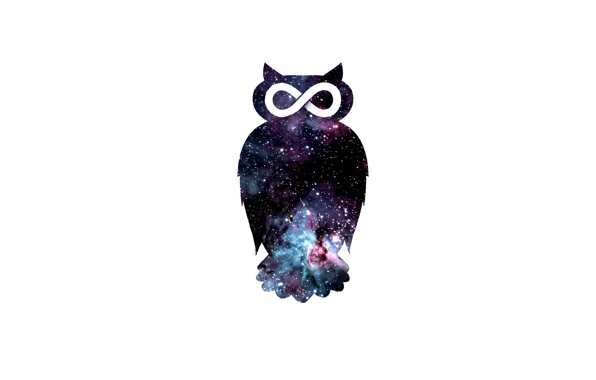 Picture space, owl, bird