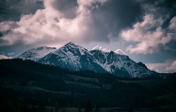 USA, United States, Wyoming, sky, trees, Mountain, clouds, snow