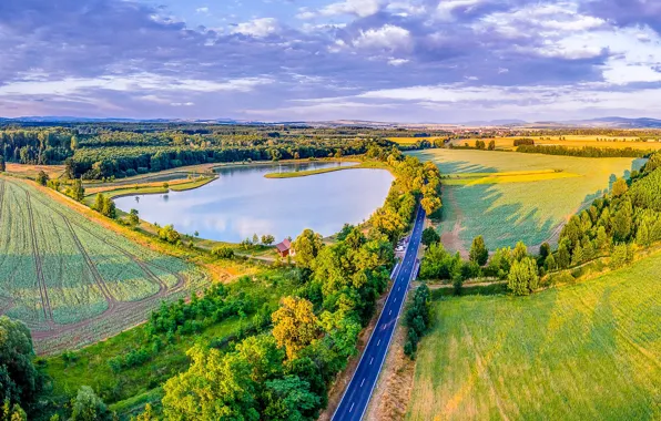 Road, greens, the sun, trees, lake, field, Czech Republic, panorama