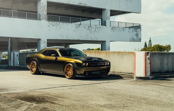 Picture Dodge, muscle car, Hellcat, Dodge Challenger Hellcat