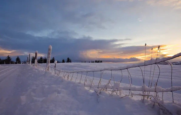 Road, snow, sunset, the fence