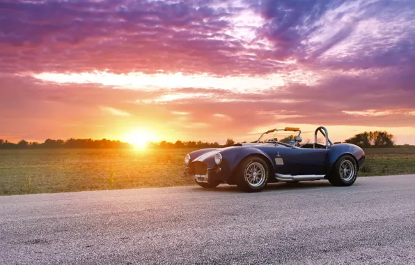 Car, ford, shelby, cobra