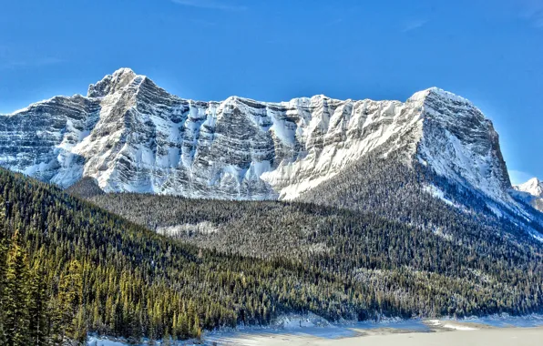 Snow, Canada, top, coniferous trees, Mount Sarrail, lake Aster, mountain Sarrail, ridge