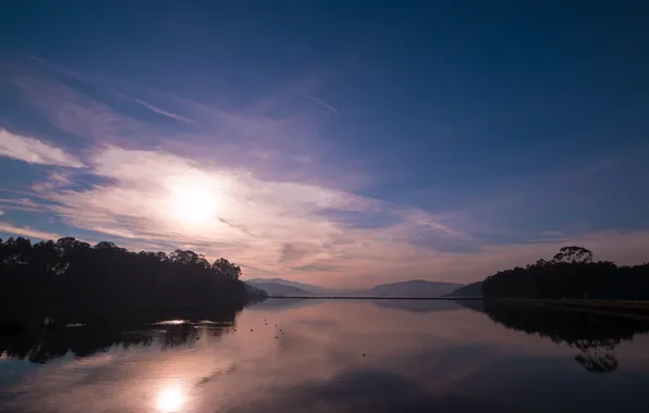Forest, lake, dawn, hills, morning