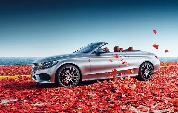 Mercedes-Benz, Car, Front, C Class, Cabrio, Sea, Leaves
