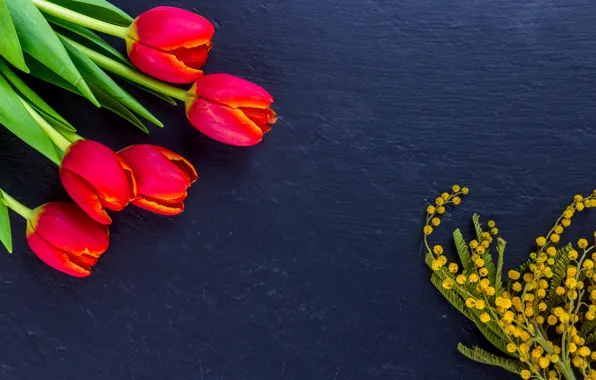 Bouquet, tulips, Mimosa