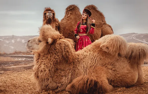 Mountains, hope, animal, morning, camel, haze, beautiful girl, national costume