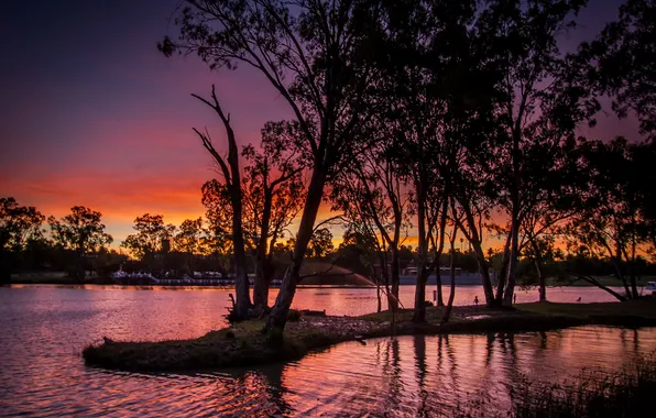 Sunset, Park, river, the evening