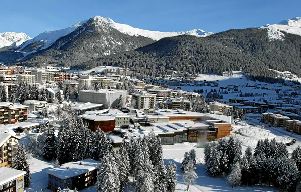 Winter, forest, snow, trees, mountains, the city, home, Switzerland