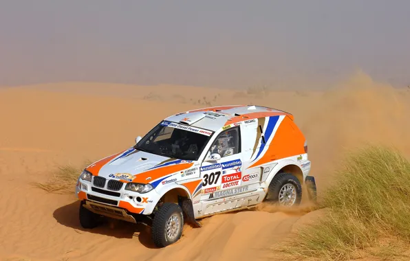 Picture Sand, BMW, Desert, Machine, Race, 307, Rally, Dakar