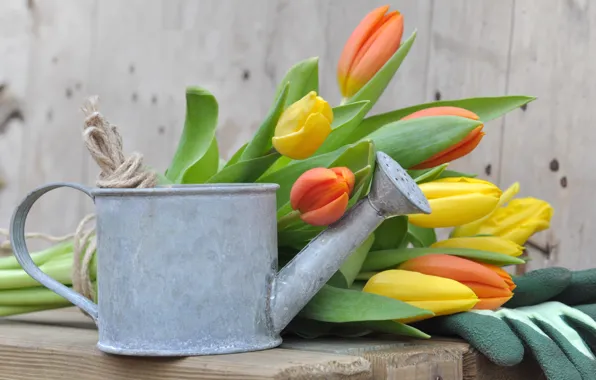 Bouquet, tulips, lake, decor, composition
