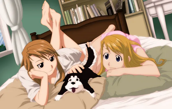 Picture bed, dog, blonde, puppy, book, Fullmetal Alchemist, Fullmetal Alchemist, Riza Hawkeye