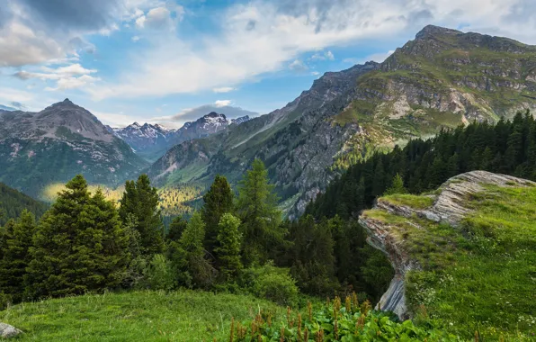 Wallpaper mountains, trees, tops, ate, greens, rocks, dal, forest