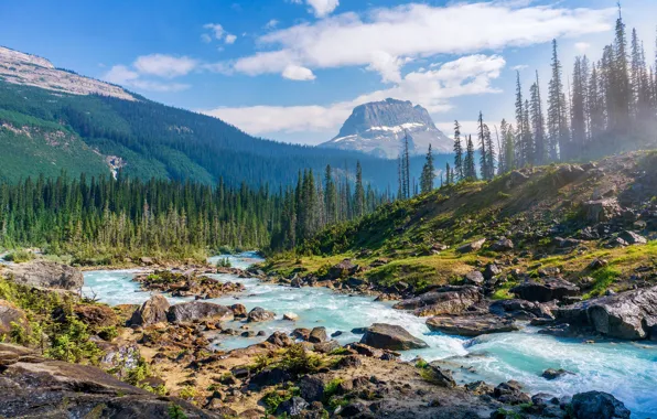 Forest, the sky, clouds, mountains, fog, stream, stones, blue