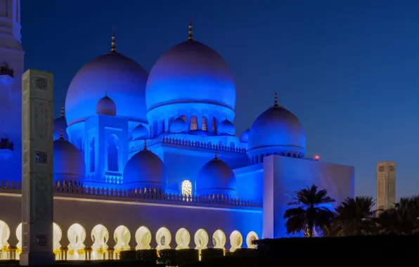 Picture night, lights, the dome, The Sheikh Zayed Grand mosque, Abu Dhabi, OAЄ