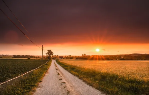 Road, field, sunset