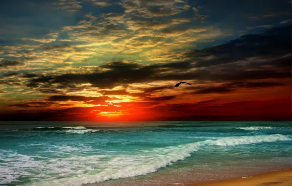Sand, sea, beach, sunset, shore, beach, sea, sunset