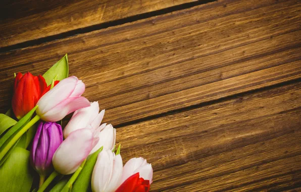 Picture flowers, colorful, tulips, red, white, wood, flowers, tulips