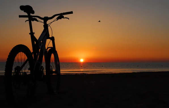 Picture sea, beach, sunset, bike, the evening