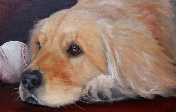 Look, pose, oil, portrait, dog, painting, face, canvas