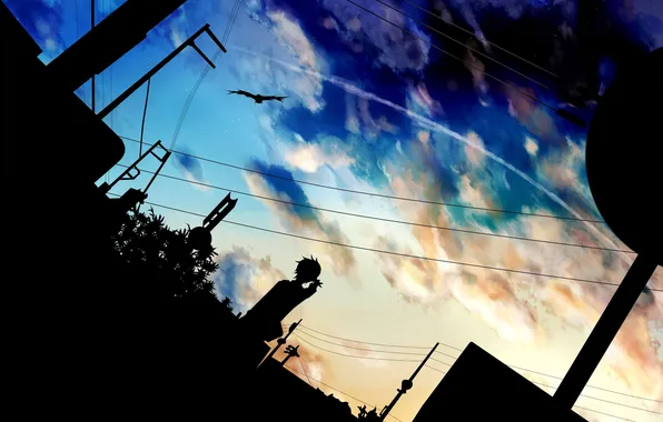 The sky, clouds, sunset, bird, sign, wire, anime, art
