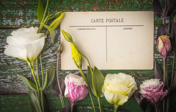 Flowers, bouquet, postcard, eustoma
