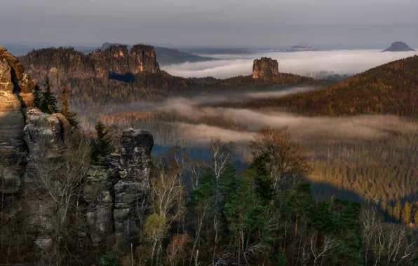 Picture forest, the sky, trees, mountains, fog, stones, rocks, height