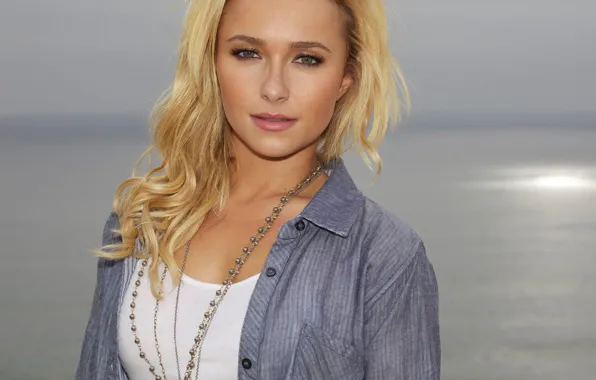 Actress, Hayden Panettiere, blonde