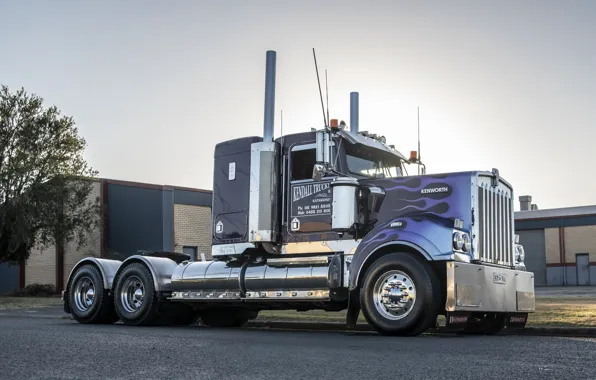 Picture Truck, Kenworth, T409