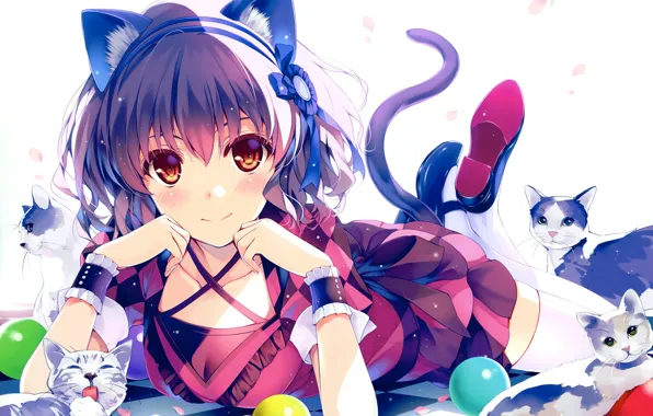 Picture cat, girl, neko