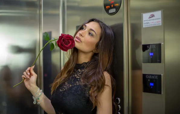 Sexy, hair, roses, beauty, AriAnna