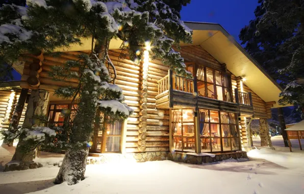 Picture winter, snow, home, the evening