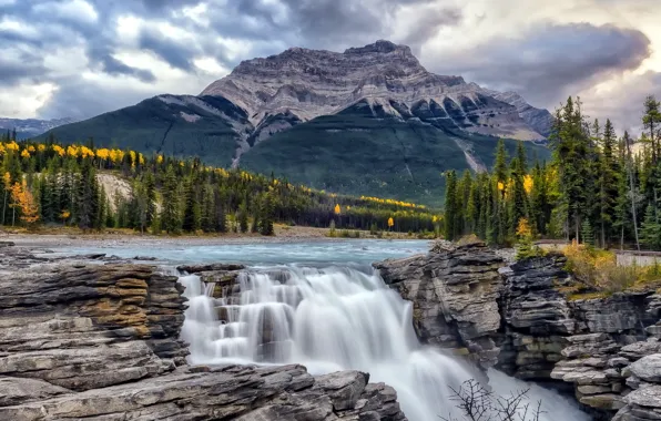 Picture Alberta, Canada, autumn, Athabasca River, Athabasca Falls