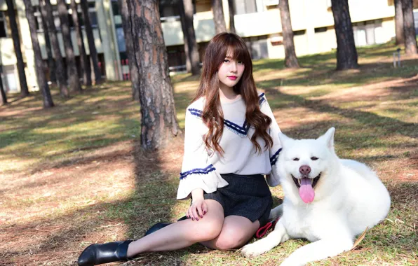 Picture girl, dog, sitting