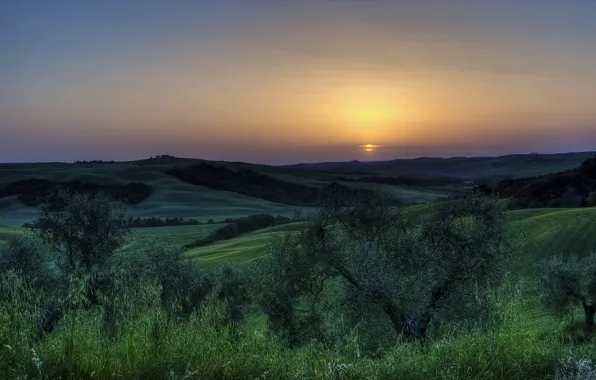 The sun, trees, sunset, Italy