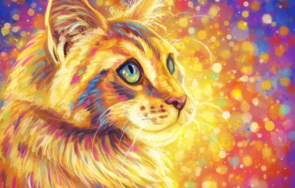 Picture cat, fluffy, colorful background
