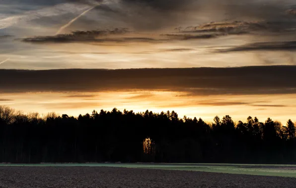 Picture field, forest, night