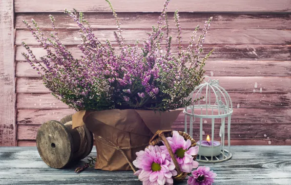 Pink, candle, chrysanthemum, pot, Heather, THE OFF