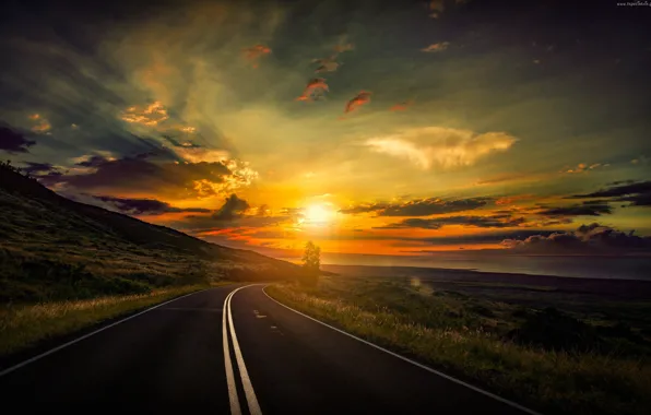 Picture road, sunrise, tree