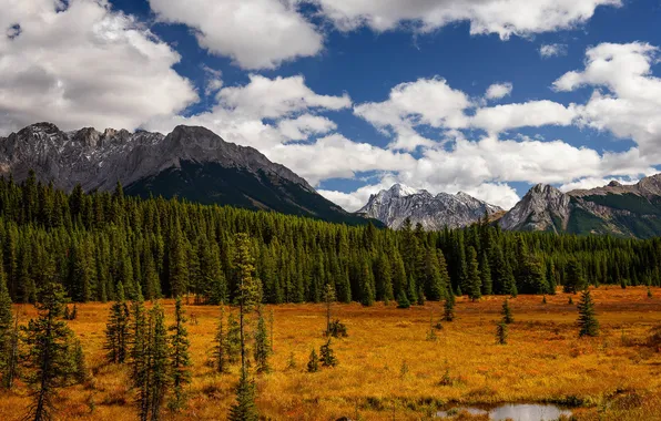 Autumn, forest, clouds, mountains, Alberta, Canada, Peter Lougheed Provincial Park