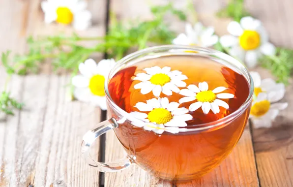 Glass, table, tea, chamomile, Cup