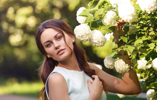 Picture summer, girl, flowers, nature, Bush, dress, brown hair, Kalina