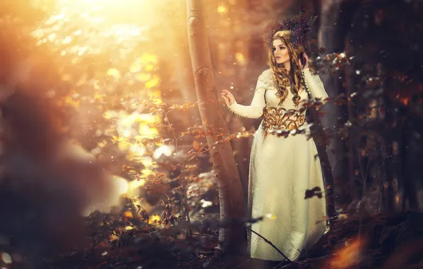 Forest, look, girl, the sun, rays, light, decoration, trees