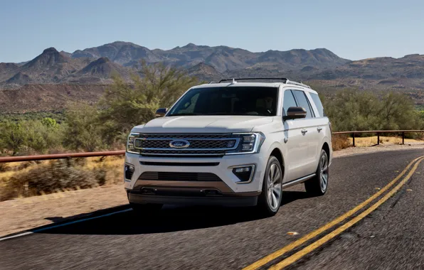 Road, Ford, SUV, Expedition, 2020