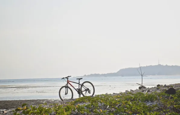 Sea, nature, bike, shore, halt, mountain bike