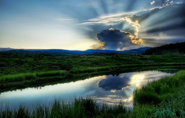 Picture greens, the sky, water, landscape, lake, river