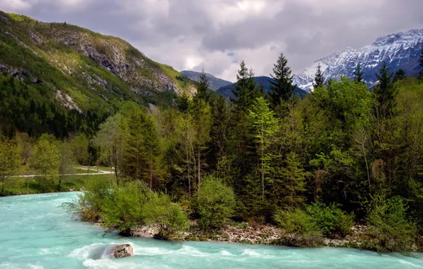 Picture forest, trees, mountains, river, stones, for, Slovenia, Bovec