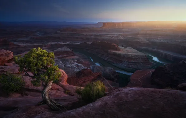 Trees, river, rocks, canyon, USA